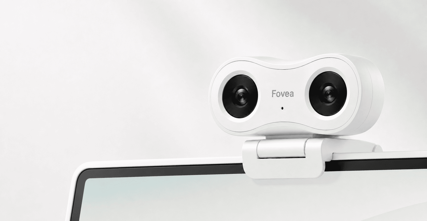 Fovea camera mounted on a monitor